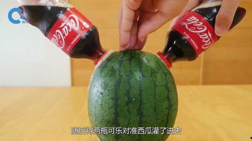 欢乐吃瓜视频,揭秘娱乐圈幕后故事