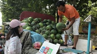 济宁疫情吃瓜,吃瓜群众视角下的实时动态解析