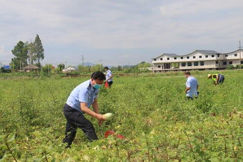 济宁疫情吃瓜,吃瓜群众视角下的实时动态解析