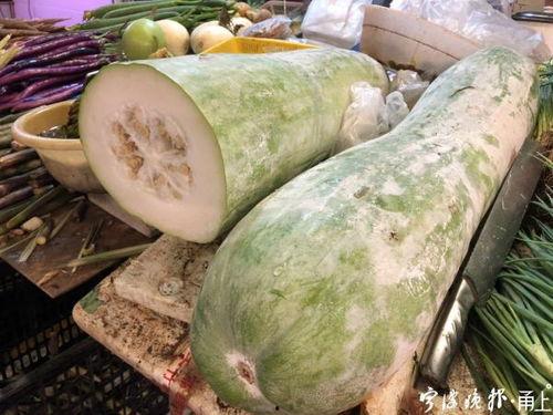 瓢瓜咋吃,探索美味瓢瓜的烹饪艺术