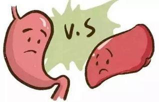 吃瓜腹痛腹泻,腹痛腹泻警示录