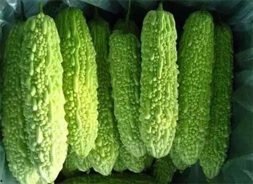 在南宁吃瓜资源大全