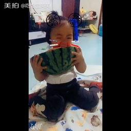 带你吃瓜搞笑警察,带你领略搞笑警察的瓜界传奇