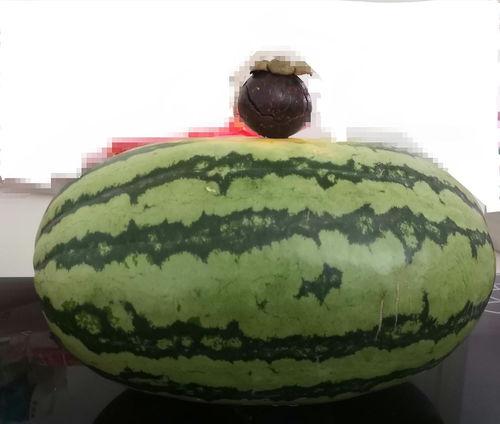 呼市大家吃的瓜,那些让人津津乐道的“瓜”