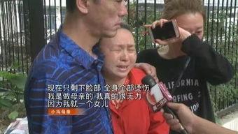 冯问鼎吃瓜,揭秘娱乐圈吃瓜背后的真相与内幕