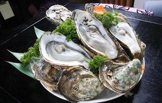 带你吃瓜海鱼图片,带你领略“带你吃瓜”的独特风味