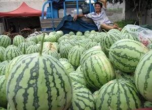 切勿吃瓜,为何“切勿吃瓜”成为网络流行语