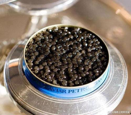 鱼子酱吃瓜,品味奢华与自然的完美邂逅