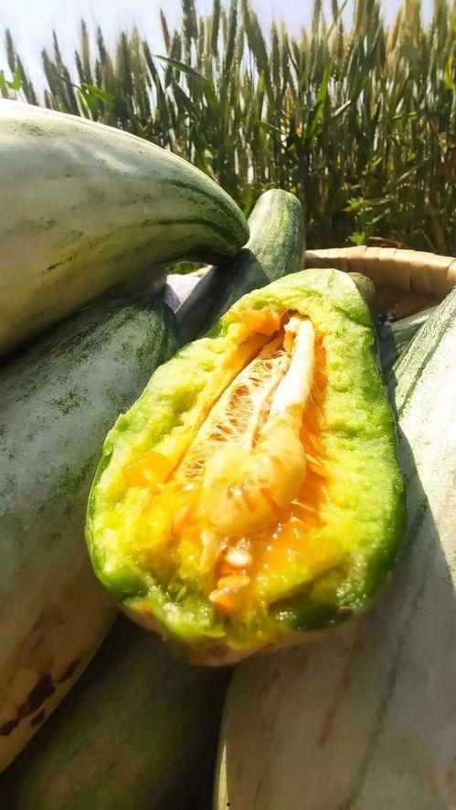 我想看吃瓜产品,一网打尽全网热门话题