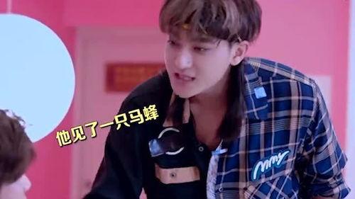 鹿晗baby吃瓜,娱乐圈风云再起