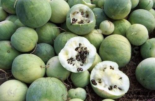 满世界吃瓜,揭秘娱乐圈的甜蜜与苦涩