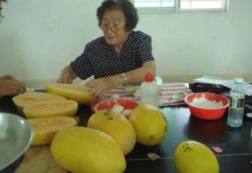 重回民国吃瓜,穿越时空的吃瓜之旅