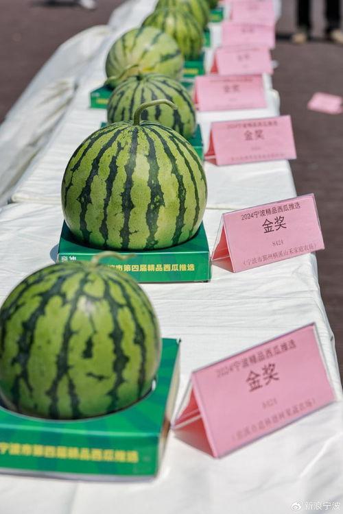 串子吃瓜,揭秘网络热词背后的文化现象