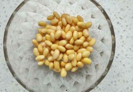 吃瓜黄豆人,探寻人生百态的趣味之旅