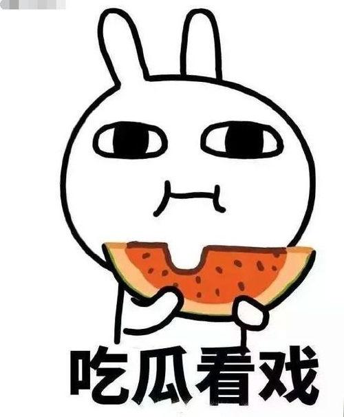 禁止搬瓜吃瓜什么意思啊,揭秘“禁止搬瓜吃瓜”背后的趣味与哲理
