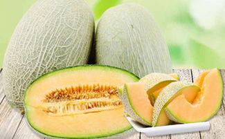 吃哈密瓜痒,揭秘夏日美食背后的过敏之谜