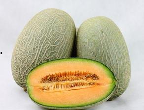 吃哈密瓜痒,揭秘夏日美食背后的过敏之谜