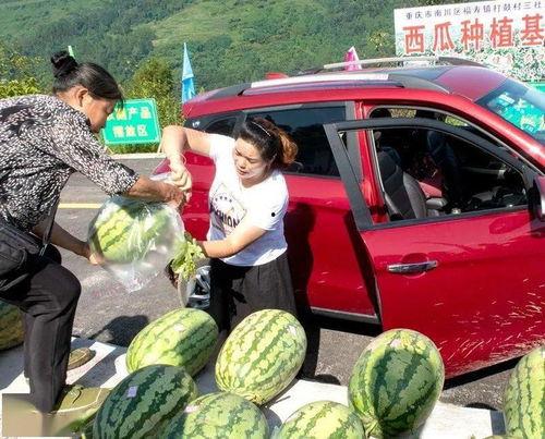 乡下吃瓜群众,揭秘乡村吃瓜群众的欢乐时光