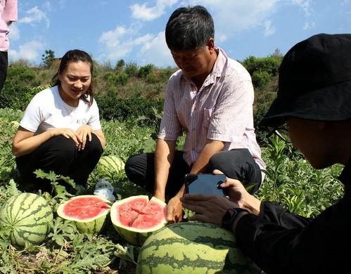 乡下吃瓜群众,揭秘乡村吃瓜群众的欢乐时光