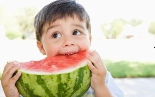 吃瓜zyl,吃瓜群众视角下的Zyl风云录