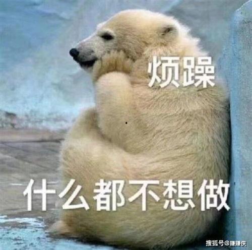 不配吃瓜表情包图片,揭秘不配吃瓜表情包背后的故事