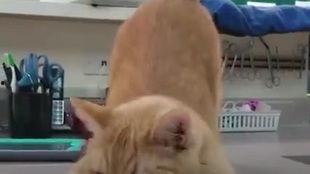 专业吃瓜唠嗑,揭秘娱乐圈那些不为人知的幕后故事