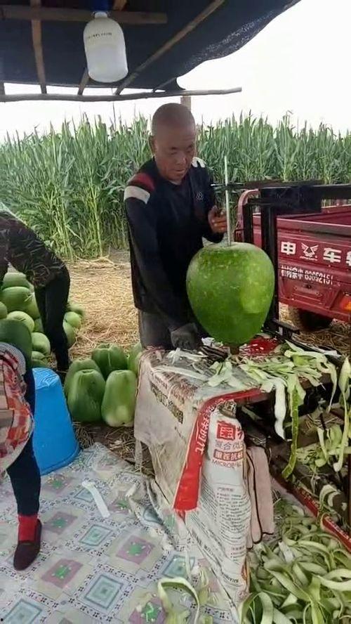 大爷站路边吃瓜,品尝美食瓜果乐享时光
