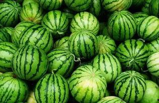 吃瓜群七冉,一场网络热议背后的故事