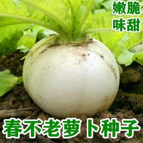 小白瓜吃不吃籽儿呢,吃还是不吃？