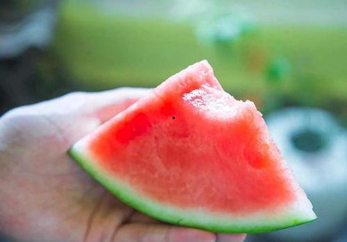 快乐永相随 吃瓜,探寻快乐与瓜子的奇妙之旅