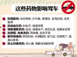 礼貌申请吃瓜,一场温馨的夏日美食之旅