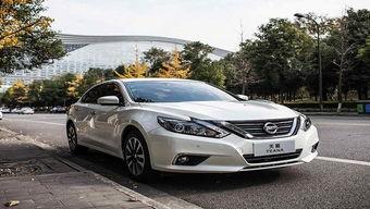 日产天籁吃瓜,瓜田里的汽车传奇