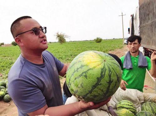 野外吃瓜图片大全,夏日清凉瞬间捕捉