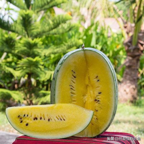 呜瓜灯么吃,探寻“呜瓜灯么吃”的独特风味之旅