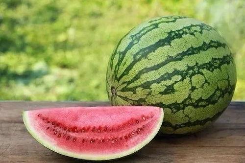 小孩西瓜地吃瓜