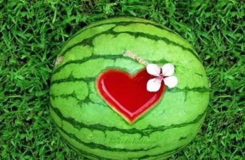 小孩西瓜地吃瓜