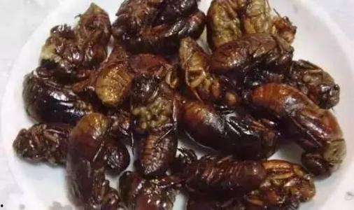 外国不敢吃的瓜