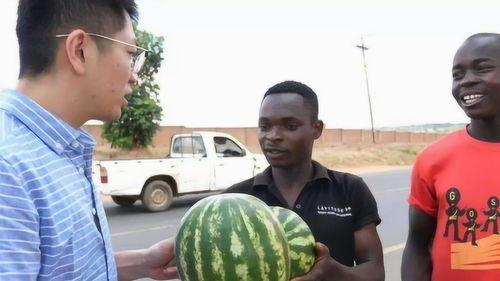 外国不敢吃的瓜