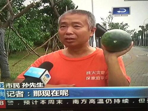 东城吃瓜群众事件,一场网络舆论的风暴与反思