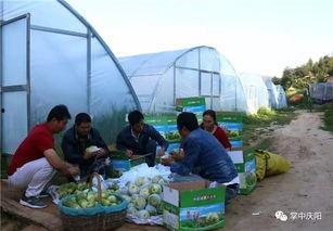 封丘吃瓜群众,揭秘当地独特民俗风情