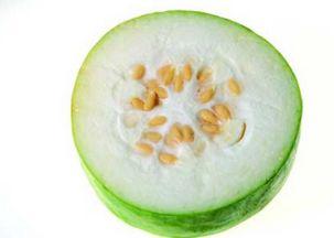 冬瓜茄瓜一起吃吗,冬瓜与茄瓜的搭配食用指南