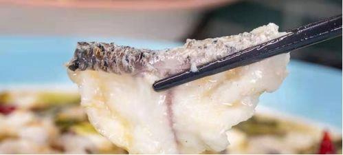 小鱼同学吃瓜,揭秘校园里的那些“瓜”