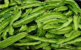 羽禾吃瓜,揭秘娱乐圈幕后故事